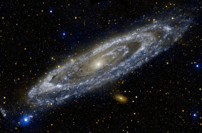 Click to enlarge Image