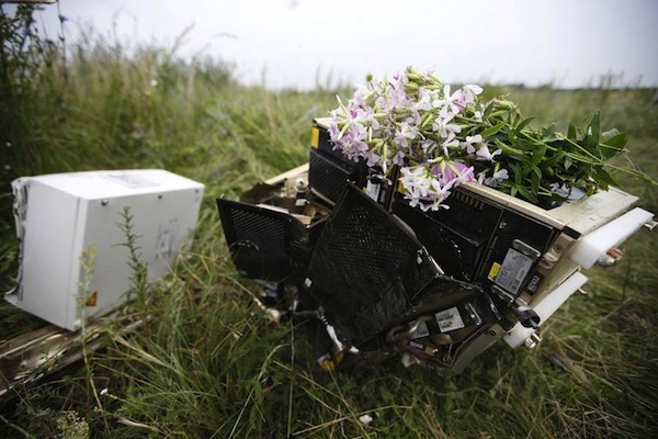 Click to enlarge Mh17 debris