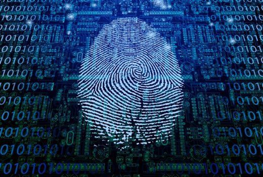 Click to enlarge 1-0-1-0 fingerprint