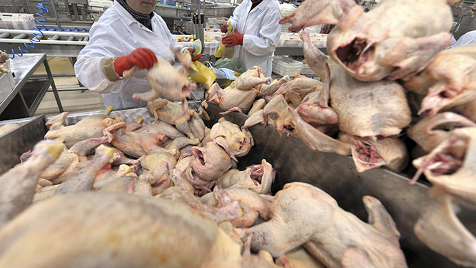 Click to enlarge chicken
