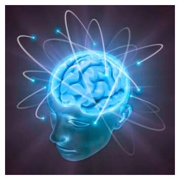 Brain Scans