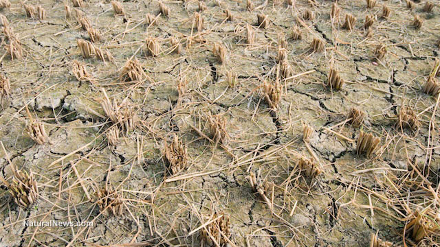 drought