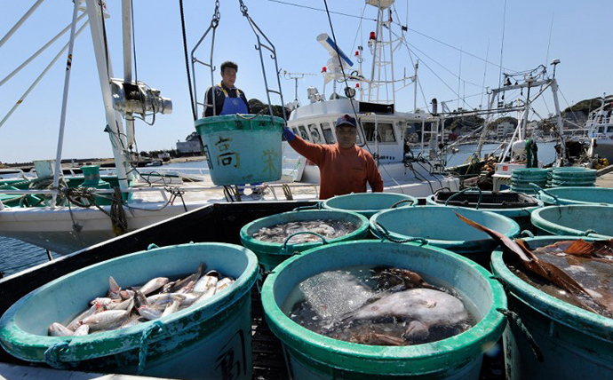 fish harvest
