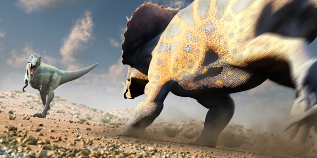 Triceratops