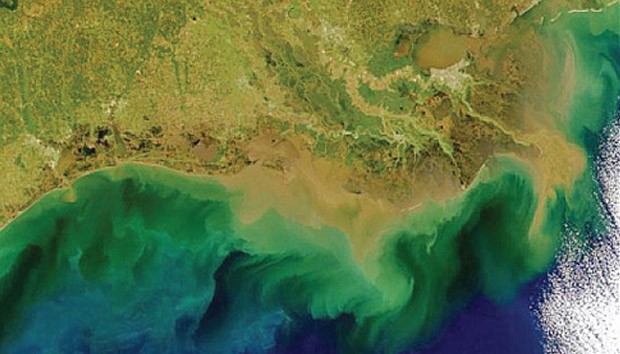 dead zones gulf of mexico