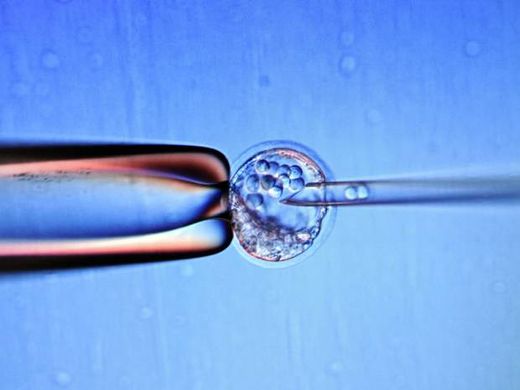 Click to enlarge stem cells