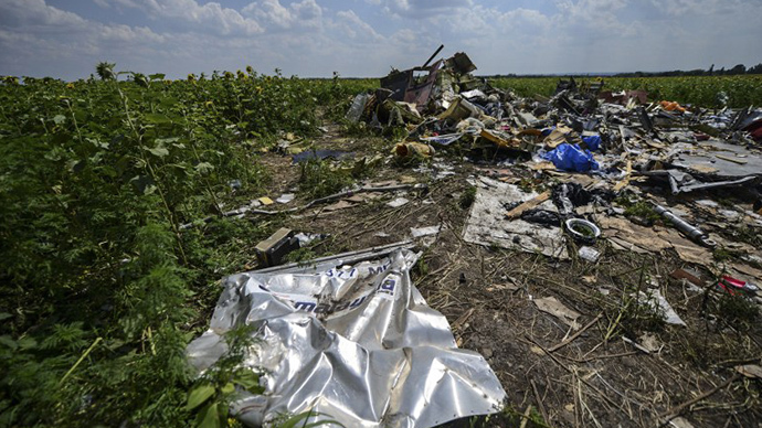 mh17 crash site