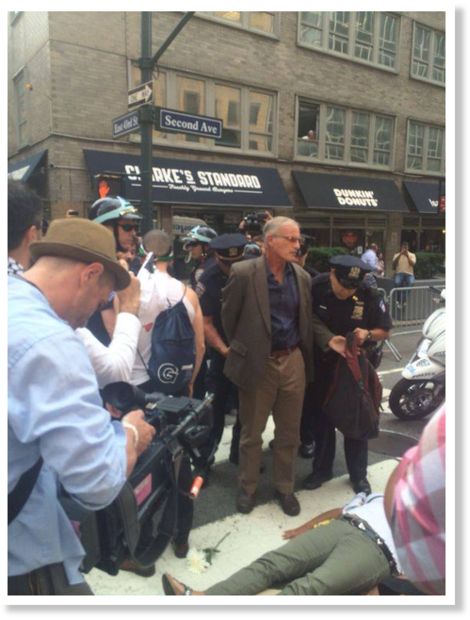 norman finkelstein arrest