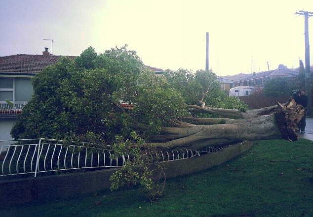 Click to enlarge tasmania wild weather