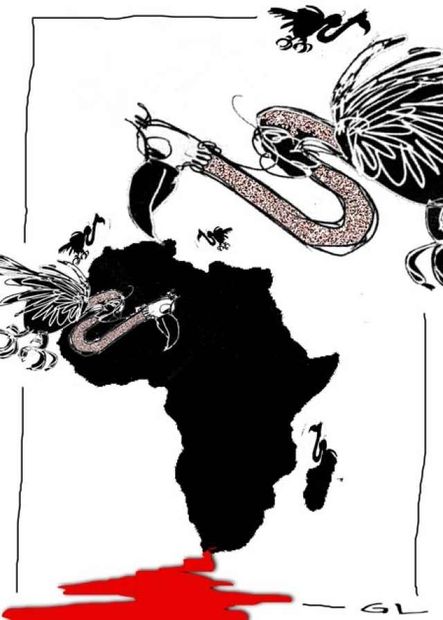 vultures over africa