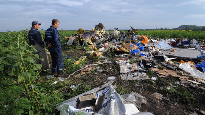 MH17 wreckage