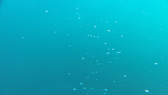 Click to enlarge methane bubbles arctic