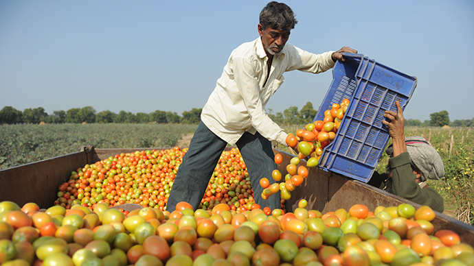 farmer