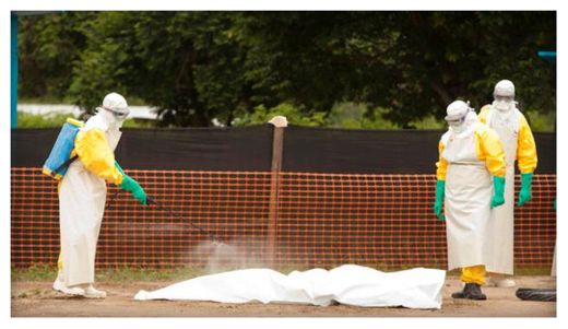 Click to enlarge Ebola Virus