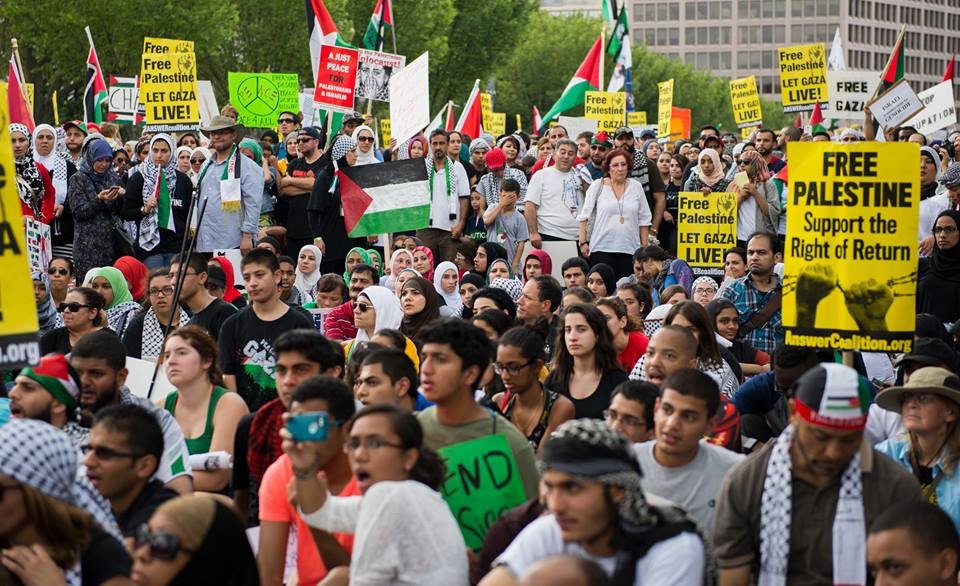 Click to enlarge protests wdc