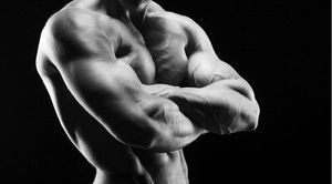 bodybuilder