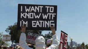 Click to enlarge GMO protest
