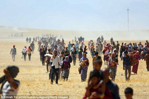 yezidis sinjar mountains