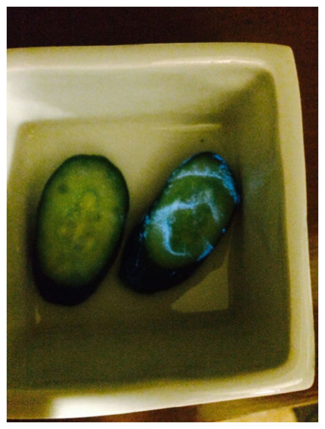 Glowing Pickle