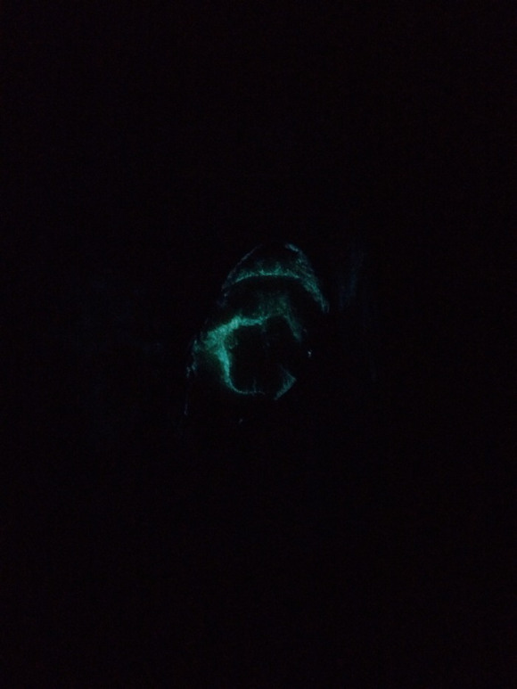 Click to enlarge Glowing Pickle_1