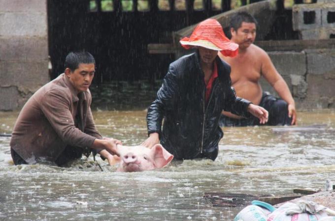 Southwest China rains