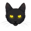 Black Cat