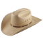 Cowboy Hat