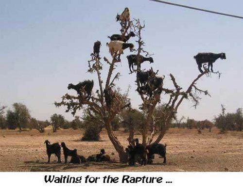 Waiting for the Rapture...